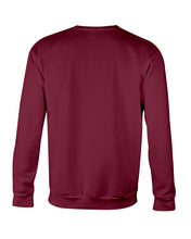 Load image into Gallery viewer, Chicken Let's Be Honest I Was Crazy Before The Chickens Sweatshirt
