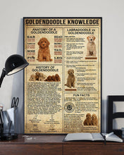 Load image into Gallery viewer, Something You Should Know About Goldendoodle Knowledge Vertical Poster
