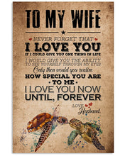 Load image into Gallery viewer, Turtle Never Forget I Love You Gift For Wife Vertical Poster
