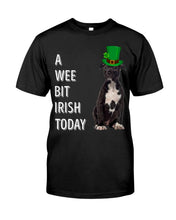 Load image into Gallery viewer, American Staffordshire Terrier Irish Today Green St. Patrick's Day Printed Mug Guys Tee
