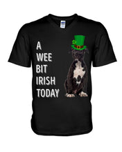 Load image into Gallery viewer, American Staffordshire Terrier Irish Today Green St. Patrick's Day Printed Mug Guys V-Neck
