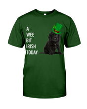 Load image into Gallery viewer, Black Cocker Spaniel Irish Today Green St. Patrick's Day Printed Mug Guys Tee
