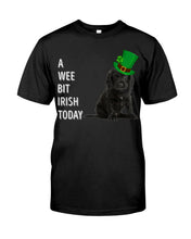 Load image into Gallery viewer, Black Cocker Spaniel Irish Today Green St. Patrick's Day Printed Mug Guys Tee
