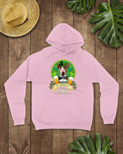 Load image into Gallery viewer, Bull Terrier With Beer Celebrate St Patrick's Day Gift For Dog Lovers Hoodie
