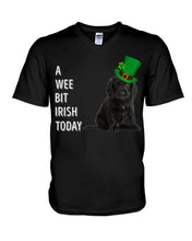 Load image into Gallery viewer, Black Cocker Spaniel Irish Today Green St. Patrick's Day Printed Mug Guys V-Neck

