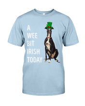 Load image into Gallery viewer, Greyhound Irish Today Green St. Patrick's Day Printed Mug Guys Tee
